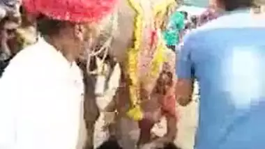 Gajb Sex - Ajab Desh Ki Gajab Tamasha Camel Engulfing Milk Sacks indian sex video