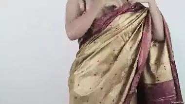 Big Boobs Aunty Wearing Sari Showing Huge Hanging Boobs And Navel indian  sex video
